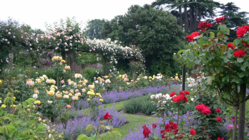 Gunby Hall and Gardens